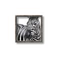 Picture of Zebra Watching _GroupedProduct_Square_Canvas_Framed_