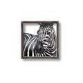 Picture of Zebra Watching _GroupedProduct_Square_Canvas_Framed_
