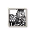 Picture of Zebra Watching _GroupedProduct_Square_Canvas_Framed_