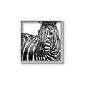 Picture of Zebra Watching _GroupedProduct_Square_Canvas_Framed_