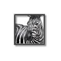 Picture of Zebra Watching _GroupedProduct_Square_Canvas_Framed_