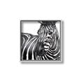 Picture of Zebra Watching _GroupedProduct_Square_Canvas_Framed_