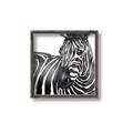 Picture of Zebra Watching _GroupedProduct_Square_Canvas_Framed_