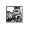 Picture of Zebra Watching _GroupedProduct_Square_Canvas_Framed_