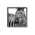 Picture of Zebra Watching _GroupedProduct_Square_Canvas_Framed_