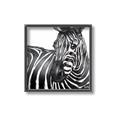 Picture of Zebra Watching _GroupedProduct_Square_Canvas_Framed_