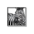 Picture of Zebra Watching _GroupedProduct_Square_Canvas_Framed_