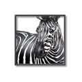 Picture of Zebra Watching _GroupedProduct_Square_Canvas_Framed_