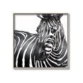 Picture of Zebra Watching _GroupedProduct_Square_Canvas_Framed_