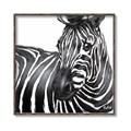 Picture of Zebra Watching _GroupedProduct_Square_Canvas_Framed_