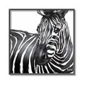 Picture of Zebra Watching _GroupedProduct_Square_Canvas_Framed_