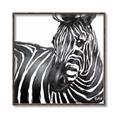 Picture of Zebra Watching _GroupedProduct_Square_Canvas_Framed_