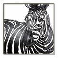 Picture of Zebra Watching _GroupedProduct_Square_Canvas_Framed_