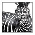 Picture of Zebra Watching _GroupedProduct_Square_Canvas_Framed_