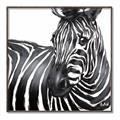 Picture of Zebra Watching _GroupedProduct_Square_Canvas_Framed_