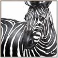 Picture of Zebra Watching _GroupedProduct_Square_Canvas_Framed_