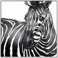 Picture of Zebra Watching _GroupedProduct_Square_Canvas_Framed_