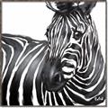 Picture of Zebra Watching _GroupedProduct_Square_Canvas_Framed_