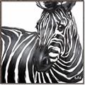 Picture of Zebra Watching _GroupedProduct_Square_Canvas_Framed_