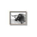 Picture of Big Cattle  _GroupedProduct_Rectangle_Landscape_Canvas_Framed_