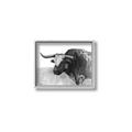 Picture of Big Cattle  _GroupedProduct_Rectangle_Landscape_Canvas_Framed_