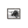 Picture of Big Cattle  _GroupedProduct_Rectangle_Landscape_Canvas_Framed_