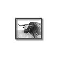 Picture of Big Cattle  _GroupedProduct_Rectangle_Landscape_Canvas_Framed_