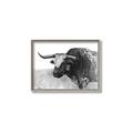 Picture of Big Cattle  _GroupedProduct_Rectangle_Landscape_Canvas_Framed_