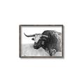 Picture of Big Cattle  _GroupedProduct_Rectangle_Landscape_Canvas_Framed_