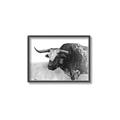 Picture of Big Cattle  _GroupedProduct_Rectangle_Landscape_Canvas_Framed_