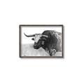 Picture of Big Cattle  _GroupedProduct_Rectangle_Landscape_Canvas_Framed_