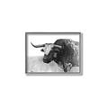 Picture of Big Cattle  _GroupedProduct_Rectangle_Landscape_Canvas_Framed_