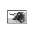 Picture of Big Cattle  _GroupedProduct_Rectangle_Landscape_Canvas_Framed_