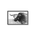 Picture of Big Cattle  _GroupedProduct_Rectangle_Landscape_Canvas_Framed_