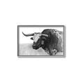 Picture of Big Cattle  _GroupedProduct_Rectangle_Landscape_Canvas_Framed_