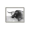 Picture of Big Cattle  _GroupedProduct_Rectangle_Landscape_Canvas_Framed_