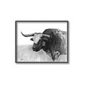 Picture of Big Cattle  _GroupedProduct_Rectangle_Landscape_Canvas_Framed_