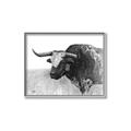 Picture of Big Cattle  _GroupedProduct_Rectangle_Landscape_Canvas_Framed_