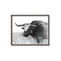 Picture of Big Cattle  _GroupedProduct_Rectangle_Landscape_Canvas_Framed_