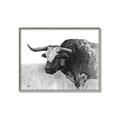 Picture of Big Cattle  _GroupedProduct_Rectangle_Landscape_Canvas_Framed_