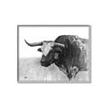 Picture of Big Cattle  _GroupedProduct_Rectangle_Landscape_Canvas_Framed_