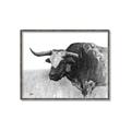 Picture of Big Cattle  _GroupedProduct_Rectangle_Landscape_Canvas_Framed_