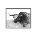 Picture of Big Cattle  _GroupedProduct_Rectangle_Landscape_Canvas_Framed_