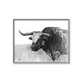 Picture of Big Cattle  _GroupedProduct_Rectangle_Landscape_Canvas_Framed_