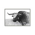 Picture of Big Cattle  _GroupedProduct_Rectangle_Landscape_Canvas_Framed_