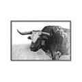 Picture of Big Cattle  _GroupedProduct_Rectangle_Landscape_Canvas_Framed_