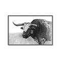 Picture of Big Cattle  _GroupedProduct_Rectangle_Landscape_Canvas_Framed_