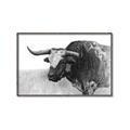 Picture of Big Cattle  _GroupedProduct_Rectangle_Landscape_Canvas_Framed_