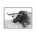 Picture of Big Cattle  _GroupedProduct_Rectangle_Landscape_Canvas_Framed_