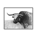 Picture of Big Cattle  _GroupedProduct_Rectangle_Landscape_Canvas_Framed_